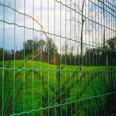 TLWY-pvc bedekte Gelast Mesh Fencing 9.0mm Holland Fence met een laag