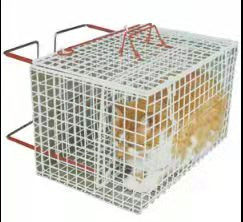 2mm bedekte openlucht het metaalpvc van het draadnetwerk de gegalvaniseerde kooi van de huisdierenvertoning met een laag