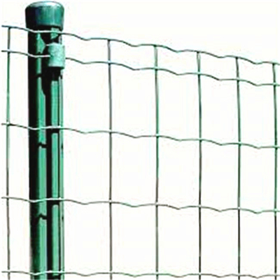 de hete verkopende omheining van product goedkopere Holland Welded Wire Mesh Fence /Euro
